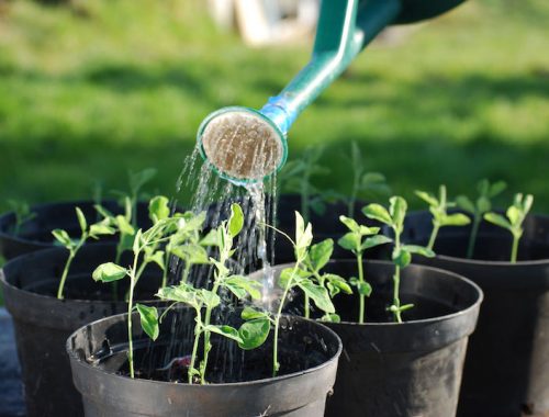 7 Life Hacks that Will Make Working in a Garden Easier