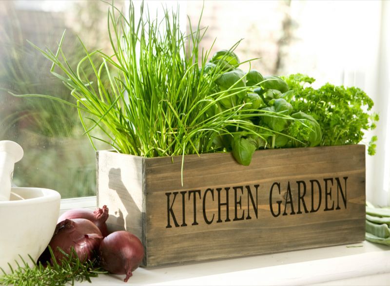 Make Herb Garden On Your Window Sill, How To Make A Window Herb Garden