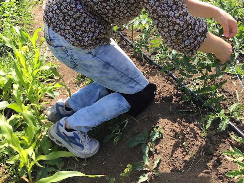 Garden knee pads