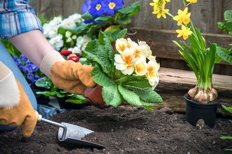 7 Life Hacks That Will Make Your Garden Work Easier (Part 2)