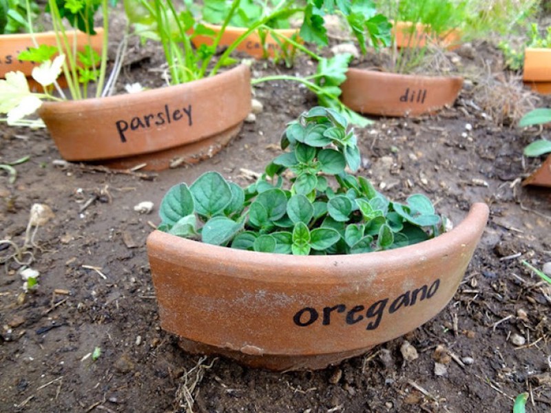 7 Life Hacks that Will Make Working in a Garden Easier